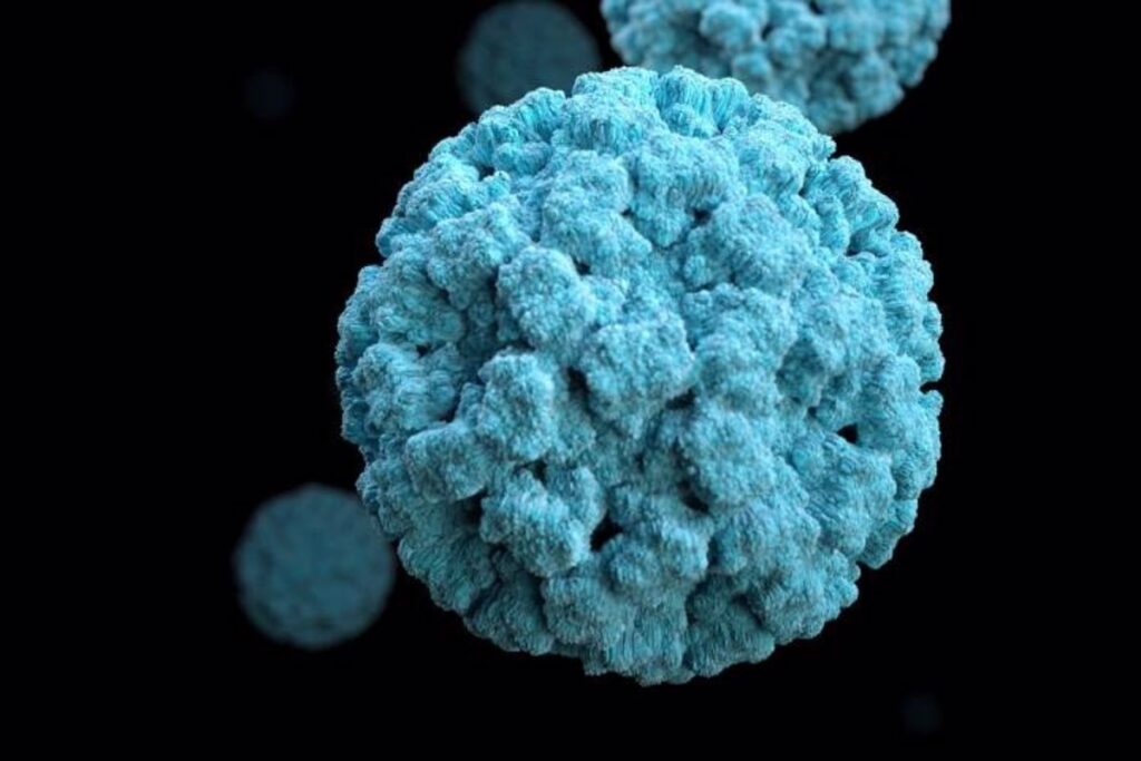 ¿Qué es el virus estomacal que causa diarrea, vómitos y náuseas, y cómo actúa?
