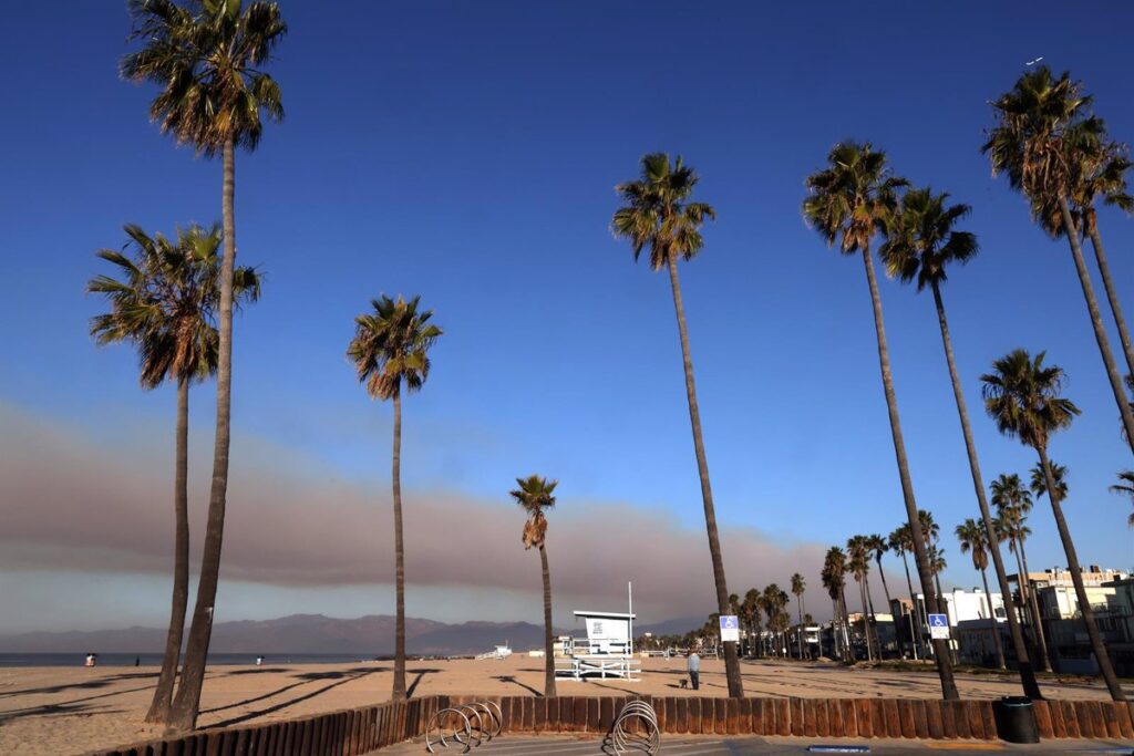Aumenta a 16 el Número de Muertos por Incendios Forestales en Los Ángeles, California