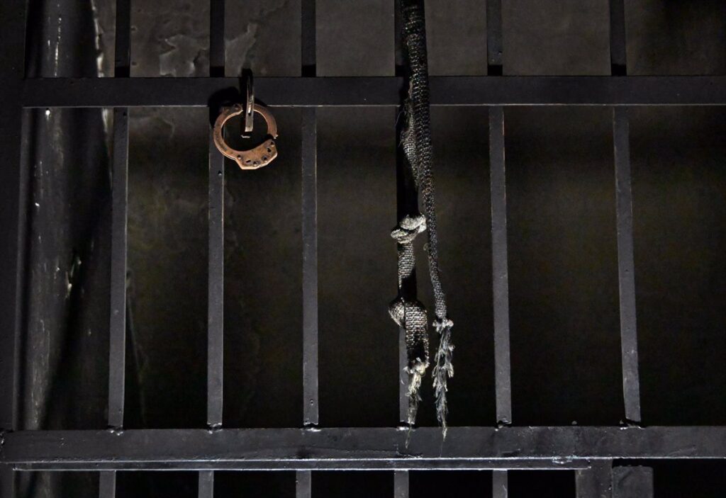 Primo de Al Assad Arrestado en Siria por Vínculos con los Servicios de Inteligencia