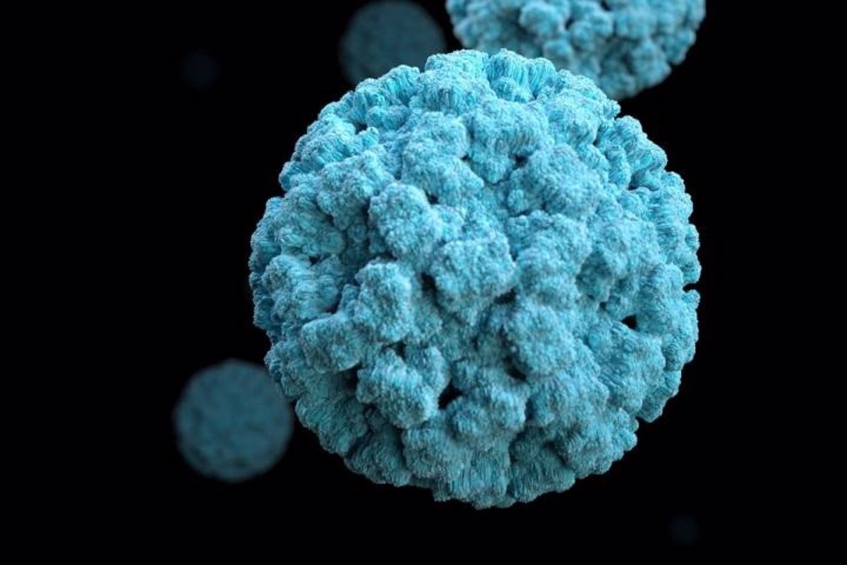 ¿Qué es el virus estomacal que causa diarrea, vómitos y náuseas, y cómo actúa?