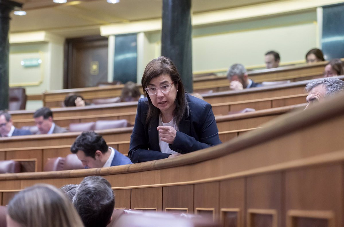 El Congreso Apoya la Iniciativa del PP Contra Bandas Juveniles, Mientras que PSOE y Sumar Defienden el Plan Actual en Marcha