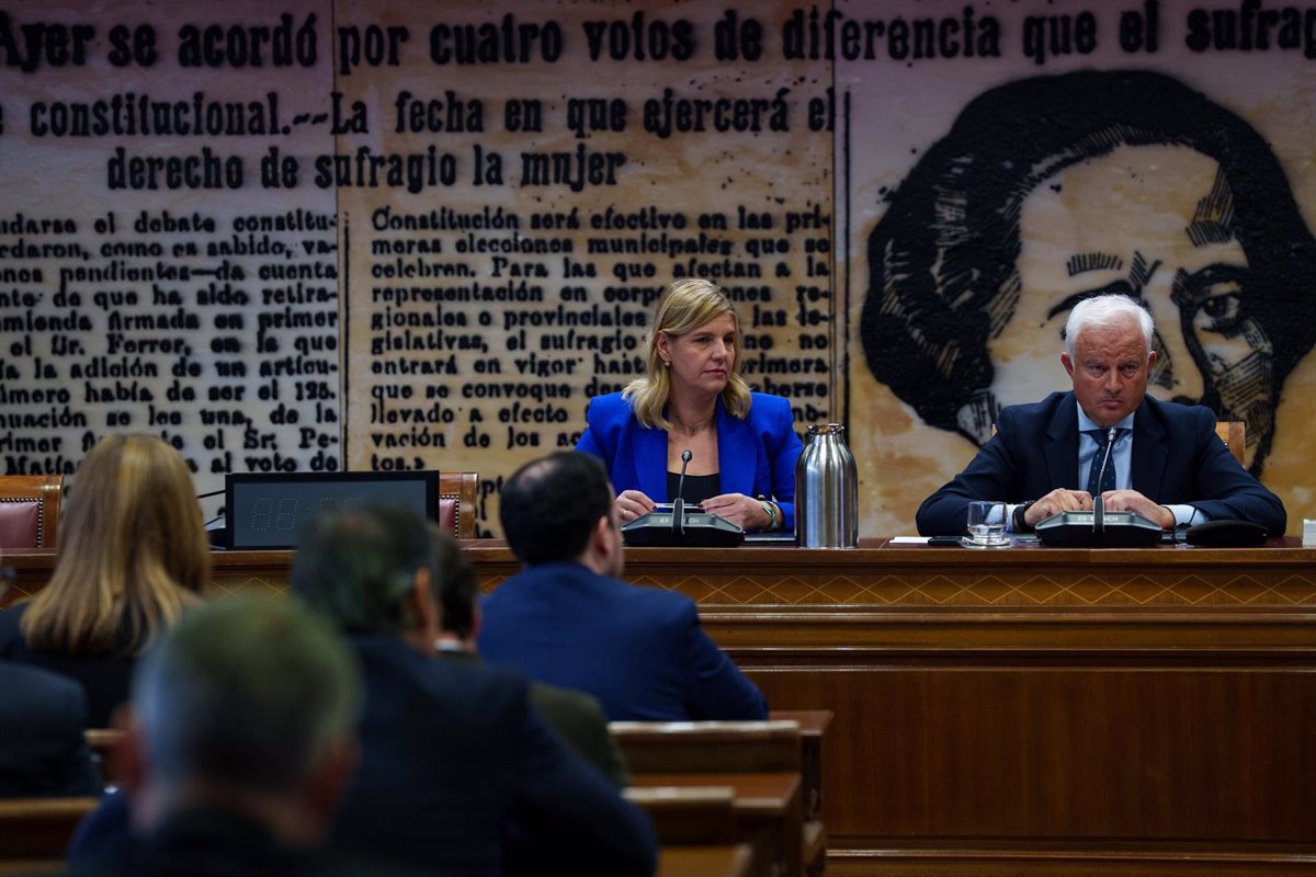 El PP solicita la comparecencia en marzo del delegado del Gobierno en Andalucía en la comisión del Senado sobre el caso Koldo
