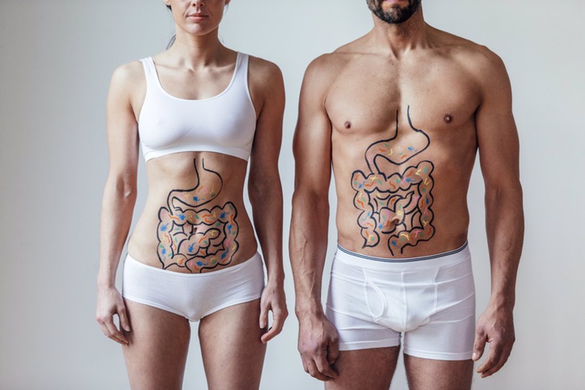 Microbiota robusta y saludable: hábitos esenciales para potenciarla