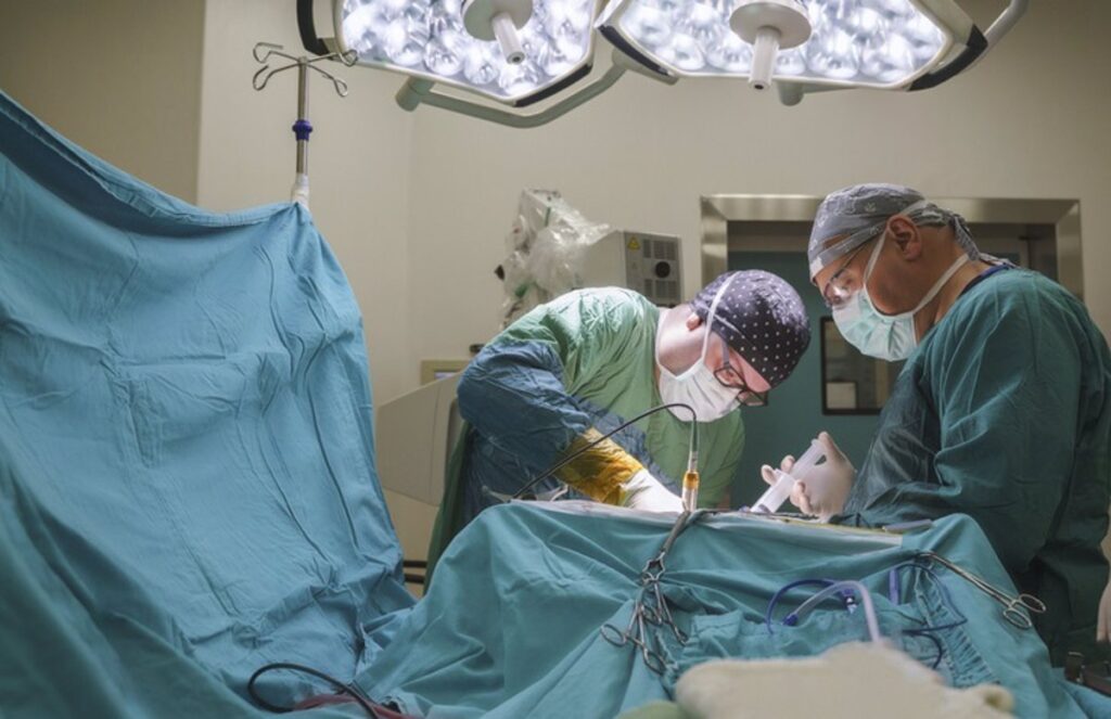 A partir de este lunes, entra en vigor la baja laboral especial para donantes vivos de órganos o médula.