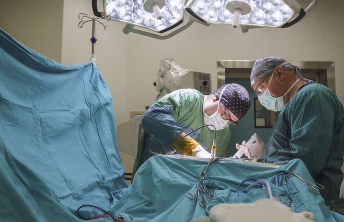 A partir de este lunes, entra en vigor la baja laboral especial para donantes vivos de órganos o médula.