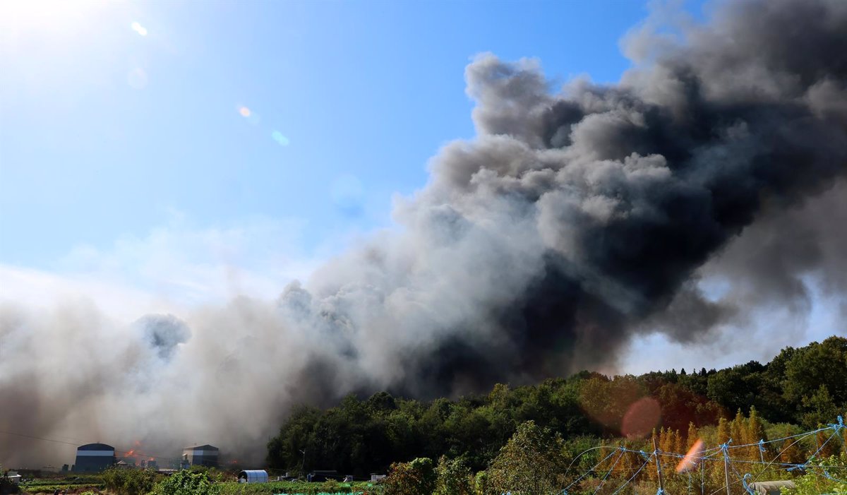 Corea del Sur Declara Emergencia Nacional: Cuatro Muertos en Ola de Incendios Devastadores