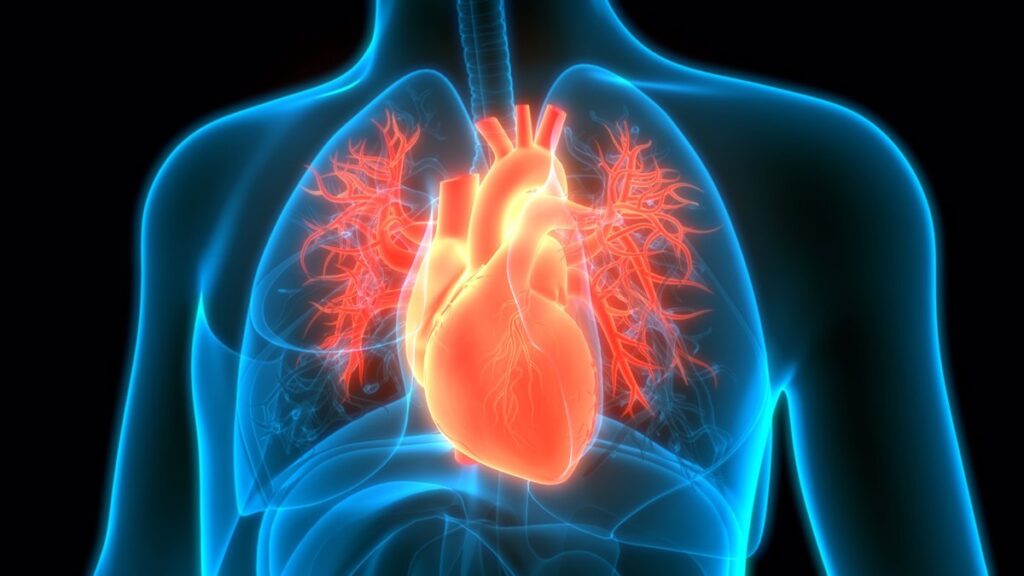La resonancia magnética nuclear mejora la predicción de eventos cardiovasculares en individuos con diabetes tipo 2.