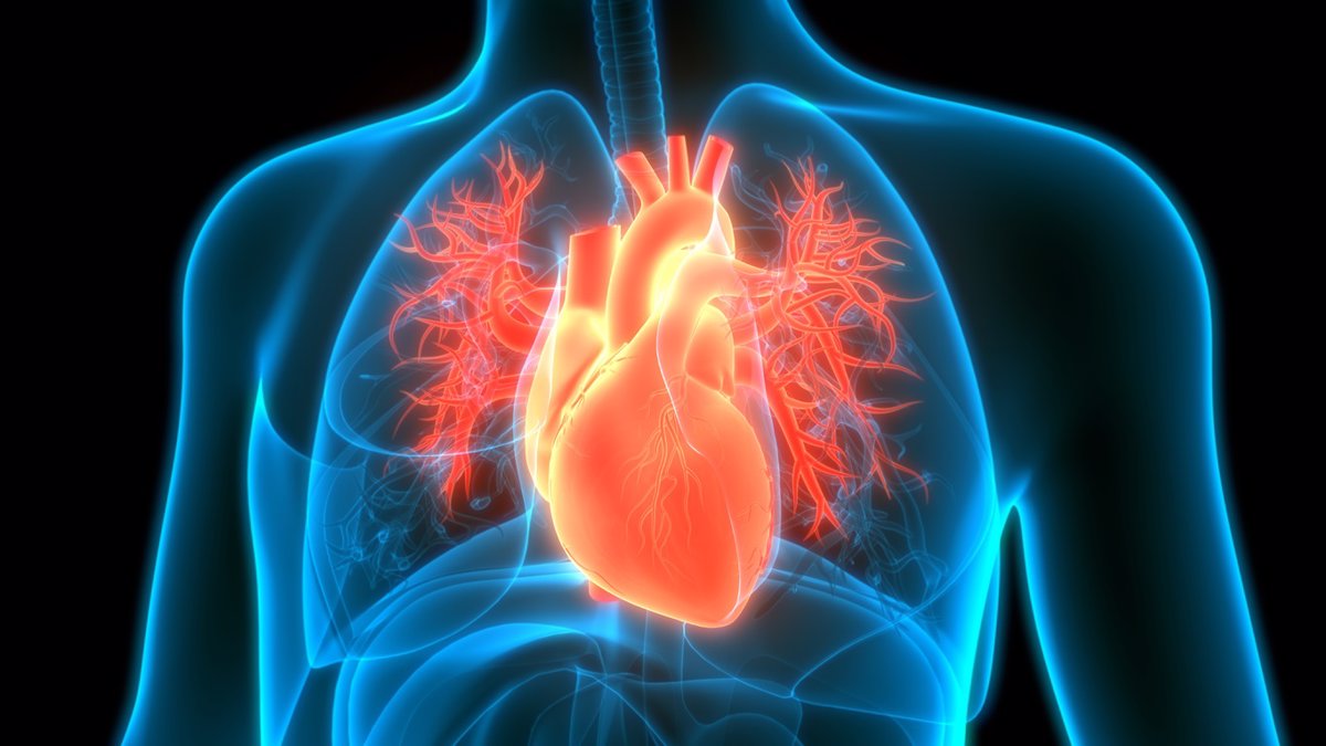 La resonancia magnética nuclear mejora la predicción de eventos cardiovasculares en individuos con diabetes tipo 2.