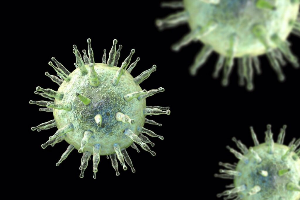 ¿Cómo un virus tan común puede provocar tantas enfermedades?