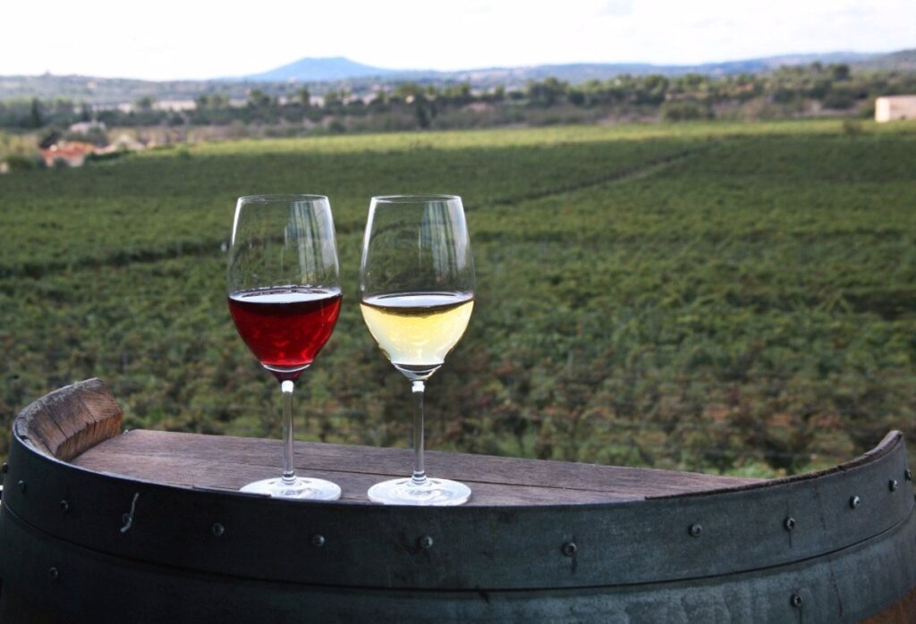 ¿Es el vino tinto más saludable que el blanco? Uno de ellos incrementa el riesgo de cáncer de piel.