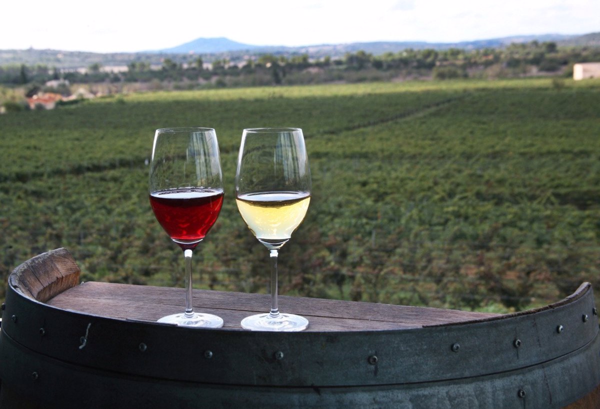 ¿Es el vino tinto más saludable que el blanco? Uno de ellos incrementa el riesgo de cáncer de piel.