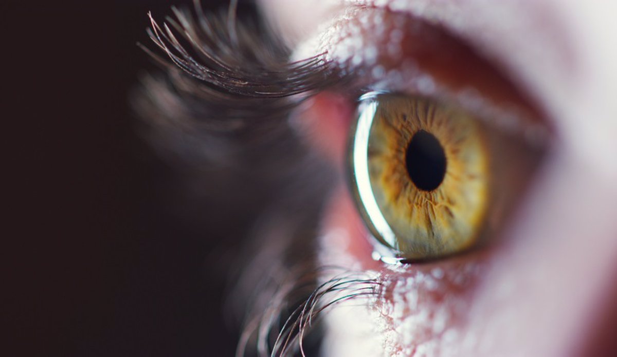 Asocian retinas más delgadas con una mayor predisposición genética a desarrollar este trastorno.