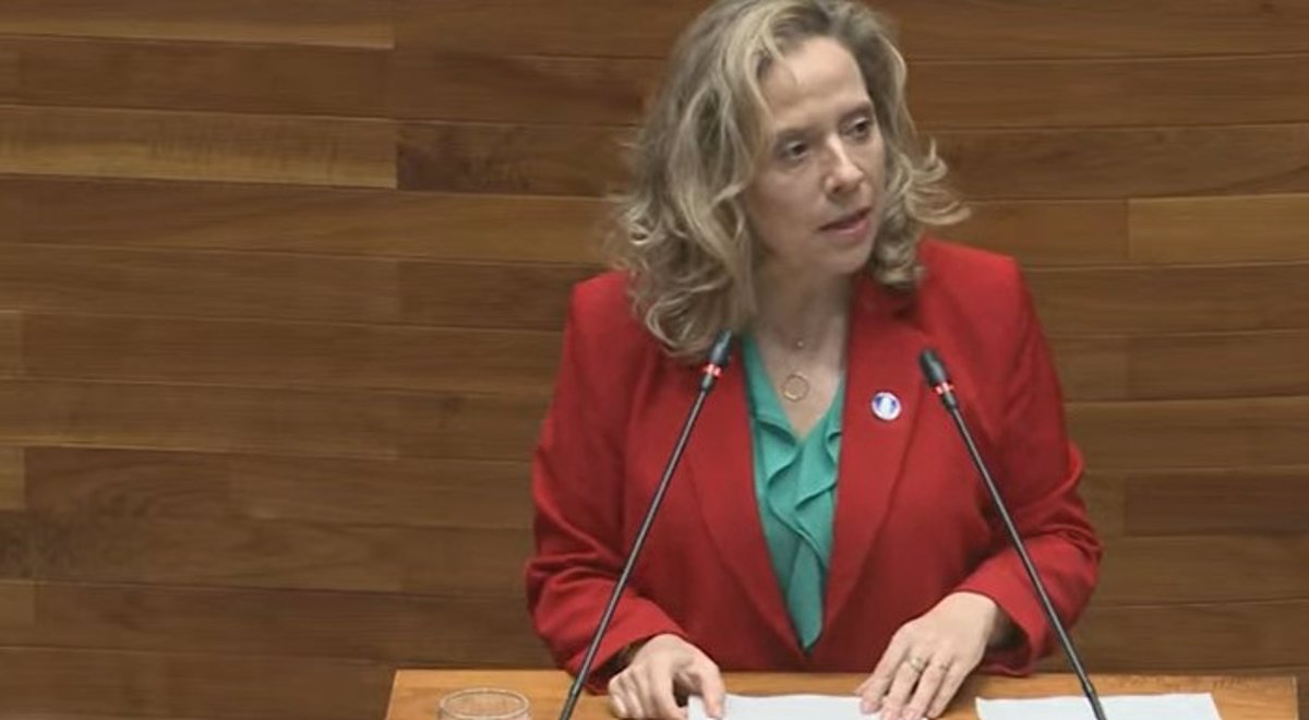 Belarmina Díaz Renuncia como Consejera de Transición Ecológica de Asturias: Detalles de su Dimisión