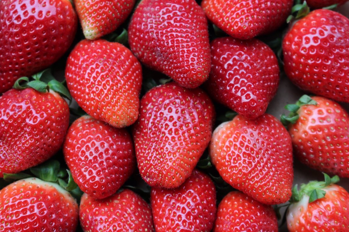 Consumir fresas frescas diariamente podría aliviar el dolor menstrual en jóvenes, según un estudio clínico.