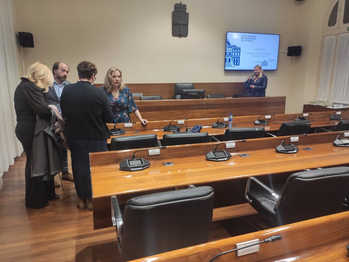 Detectan Irregularidades en la Extracción de Carbón en la Mina de Degaña por Inspectores del Principado de Asturias