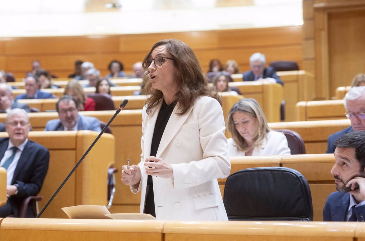 García sostiene que, tras la aprobación del Estatuto Marco, se debe reconocer el trabajo social como profesión sanitaria.