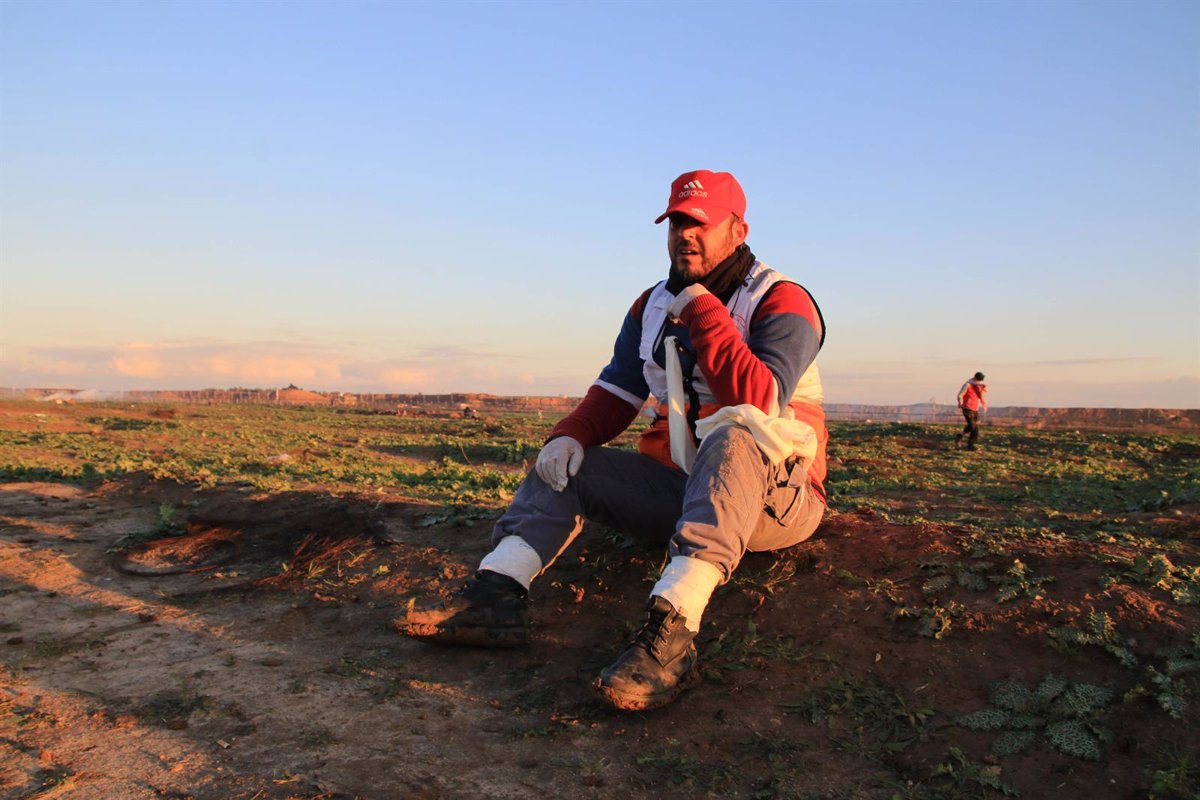 La Media Luna Roja Palestina informa sobre la desaparición de un paramédico desde el 23 de marzo