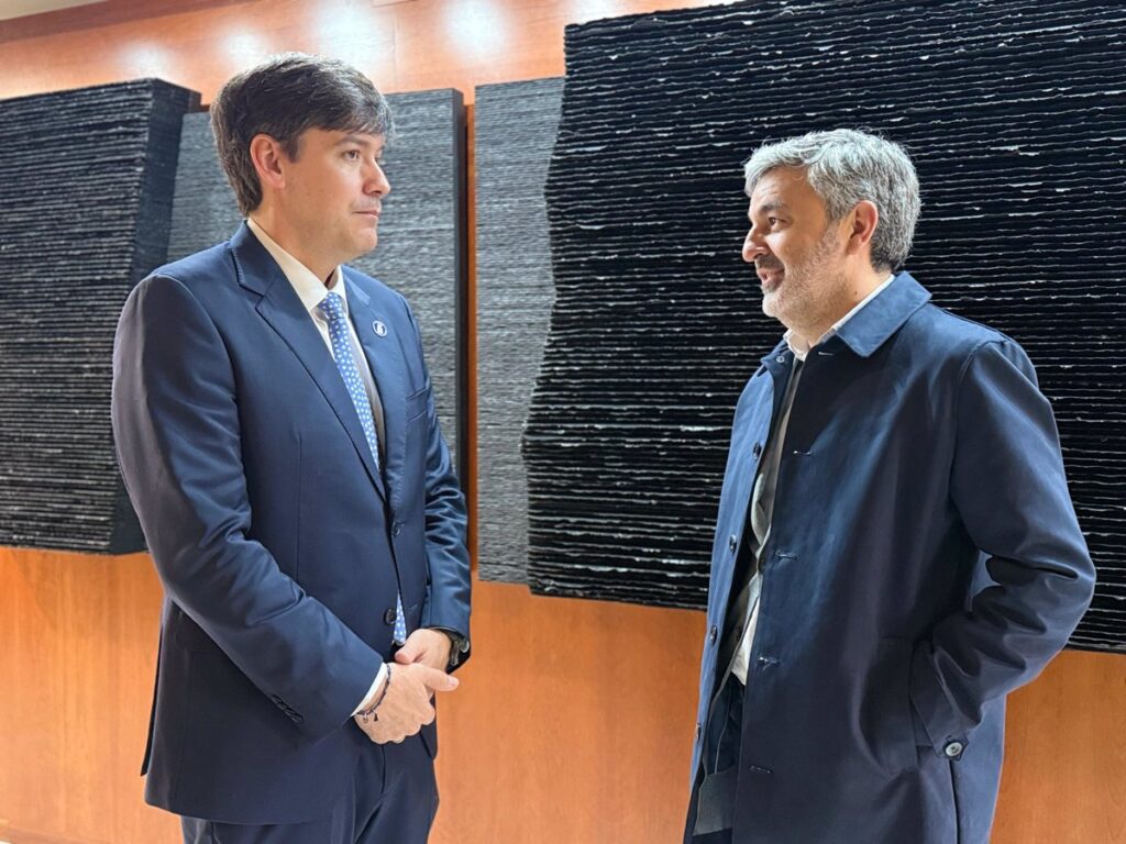 Reparto de Competencias de Belarmina Díaz: Borja Sánchez y Alejandro Calvo Asumen Nuevos Roles Tras su Dimisión