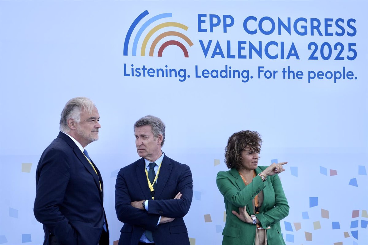 Apoyo de los 22 Eurodiputados del PP a la Candidatura de Feijóo para la Presidencia del Partido en el Congreso de Julio