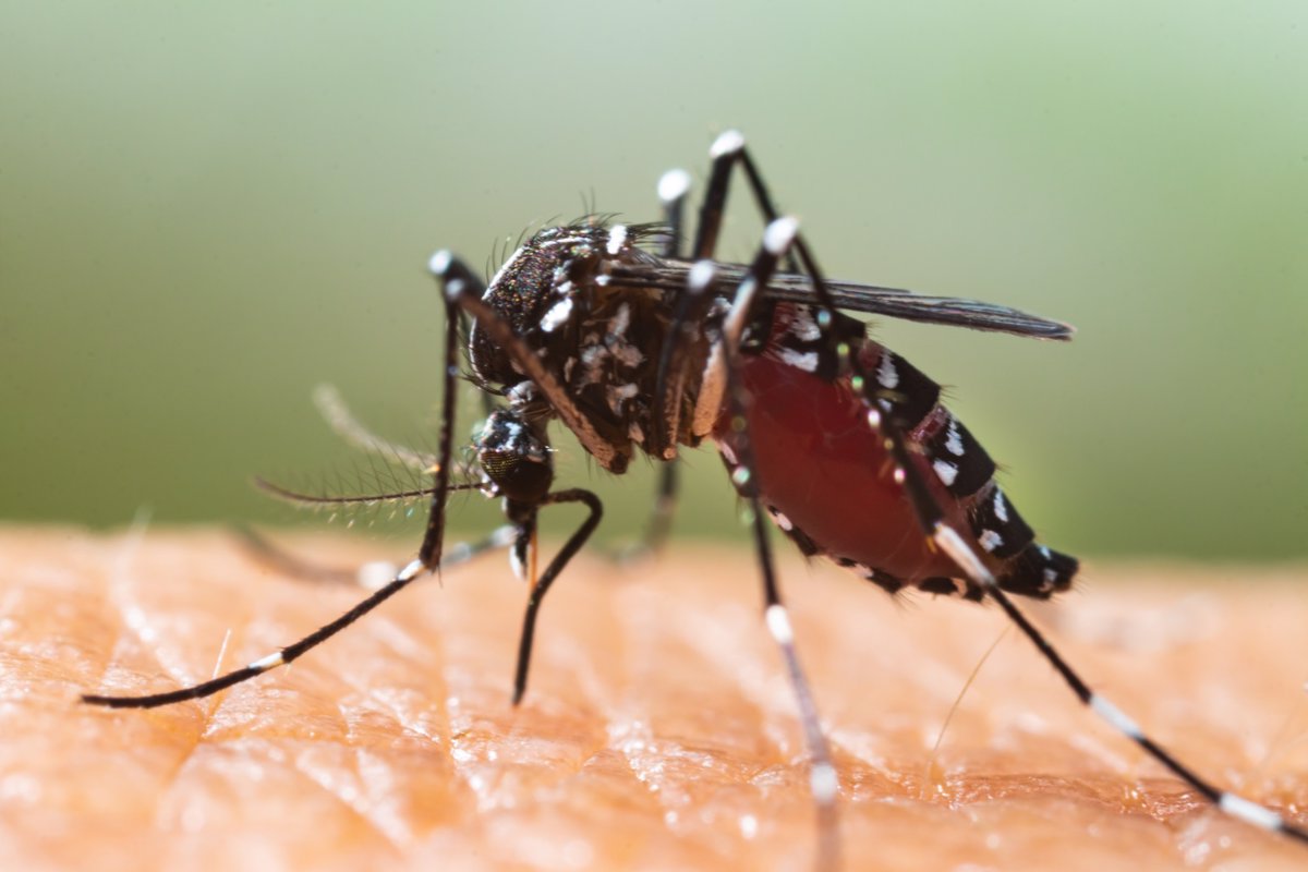 Debemos permanecer en estado de alerta