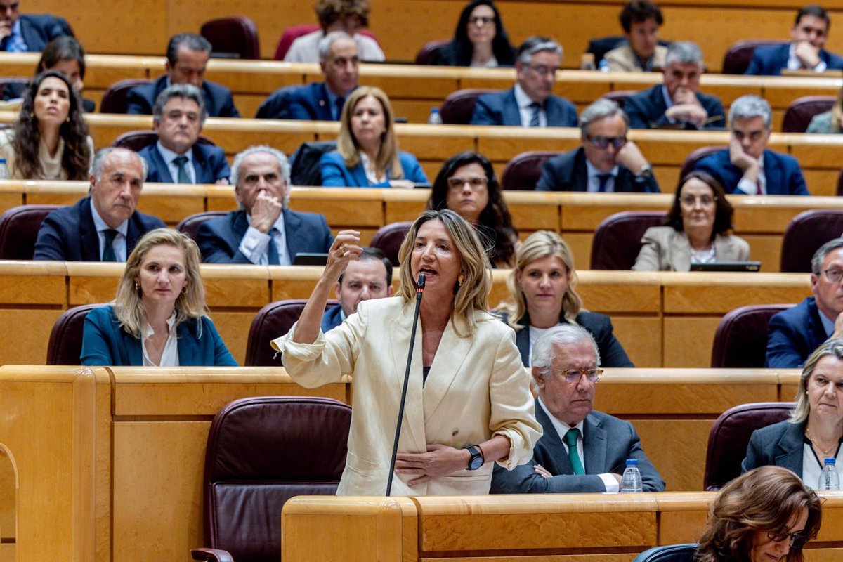 El Senado solicita al Gobierno una investigación independiente sobre el apagón, excluyendo a los posibles responsables