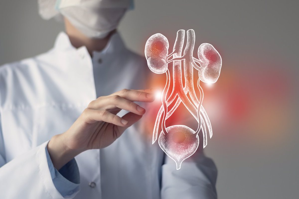 El cáncer de vejiga, el quinto más común en hombres españoles, según un experto.
