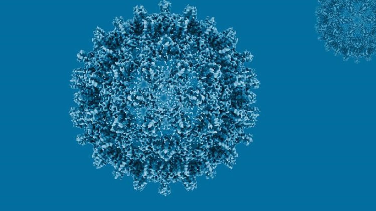 Europa reporta 37,766 casos de hepatitis B en 2023, un 31% más que el año anterior.