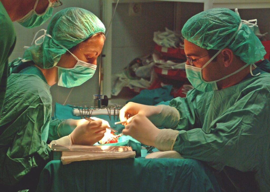 Nuevo hito en trasplantes de médula ósea en España: 3.844 procedimientos en 2024