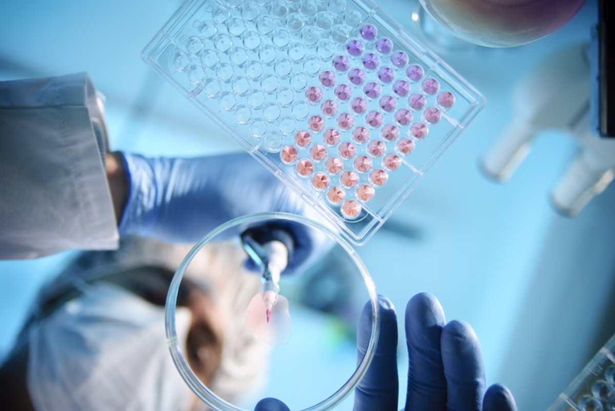 Identifican un circuito molecular que promueve el crecimiento tumoral