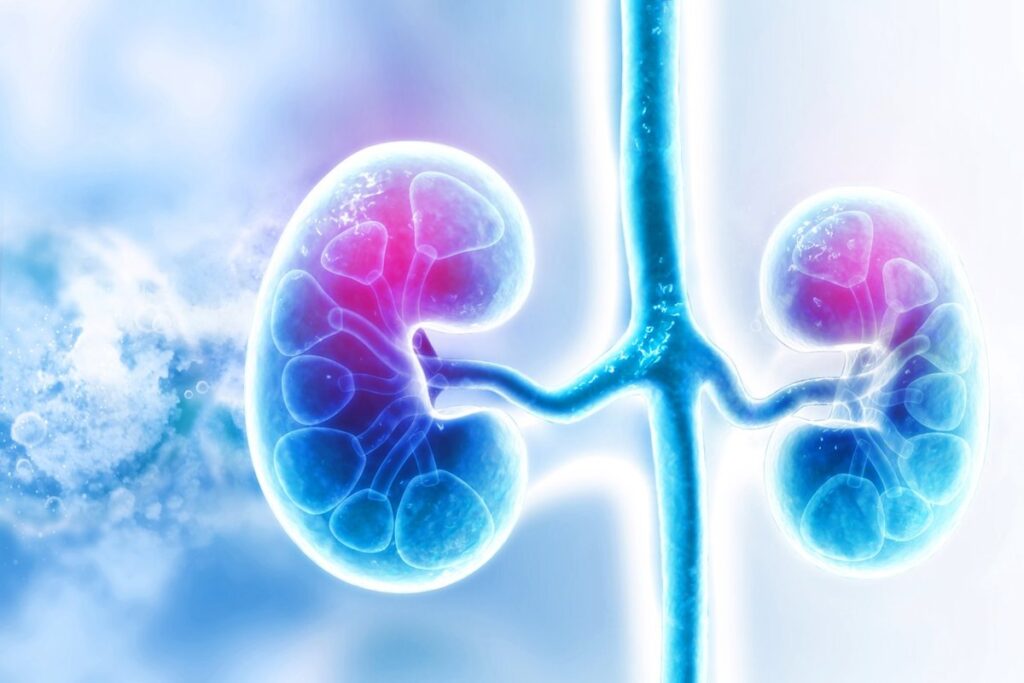 Incrementos del 40% en la supervivencia a 5 años para pacientes con cáncer renal metastásico gracias a los avances en inmunoterapia