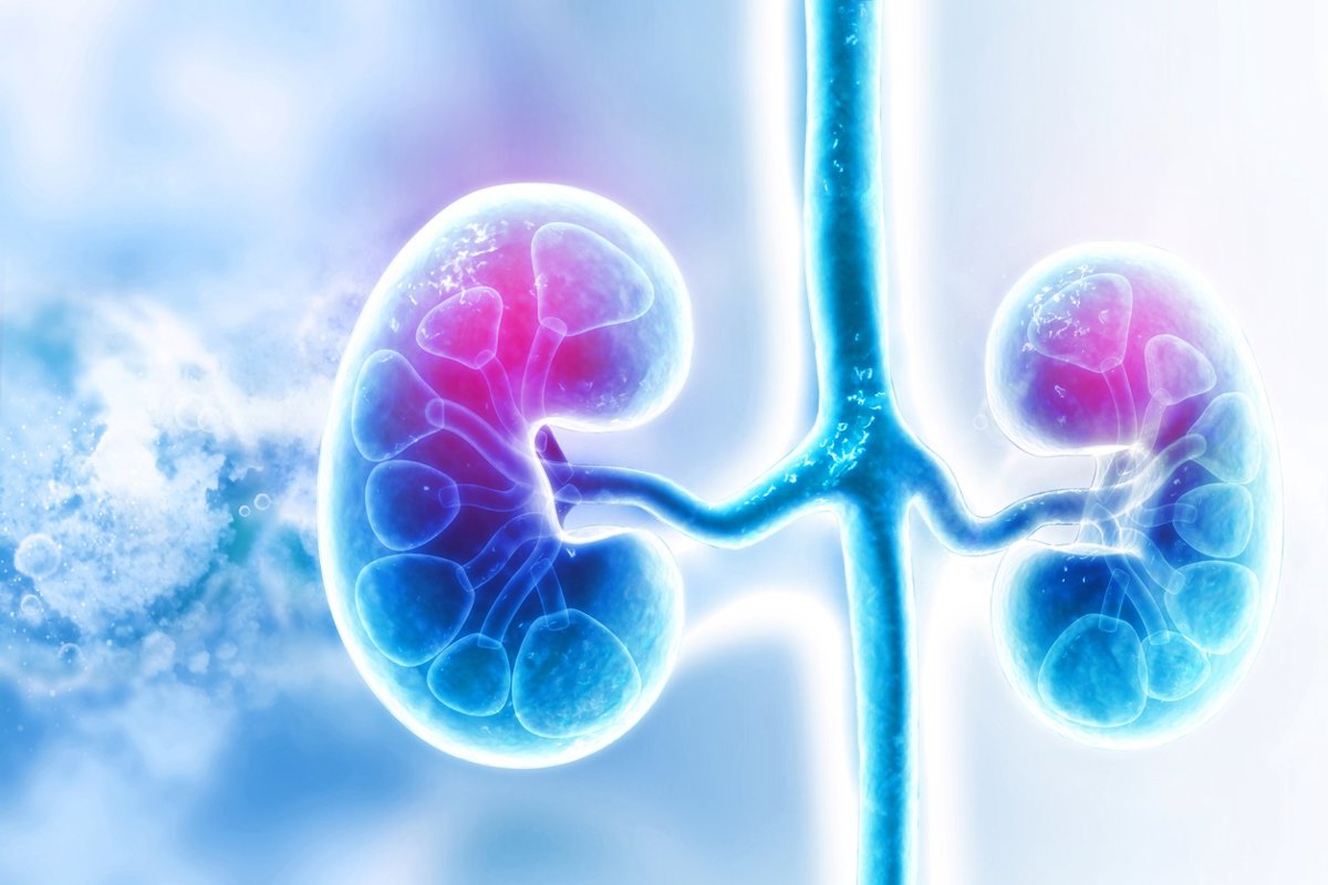 Incrementos del 40% en la supervivencia a 5 años para pacientes con cáncer renal metastásico gracias a los avances en inmunoterapia