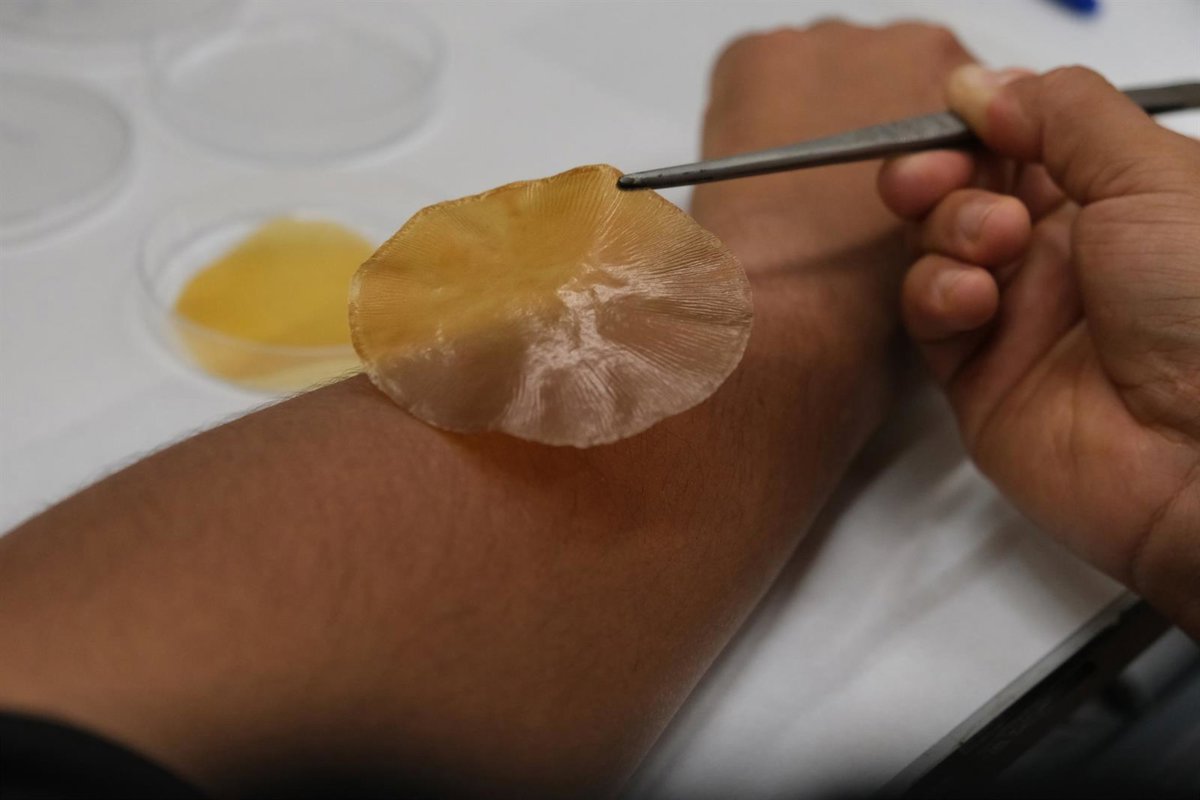 Investigadores desarrollan apósitos fotovoltaicos para frenar la propagación de infecciones bacterianas.
