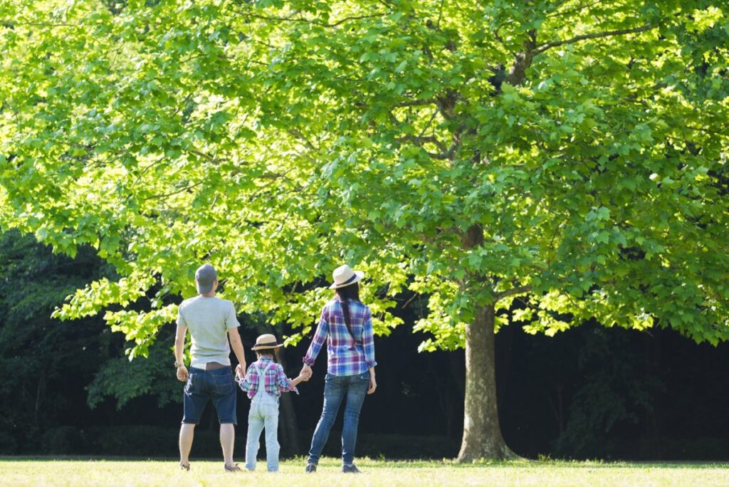 Alivio del Estrés: Conectando con la Naturaleza desde Casa