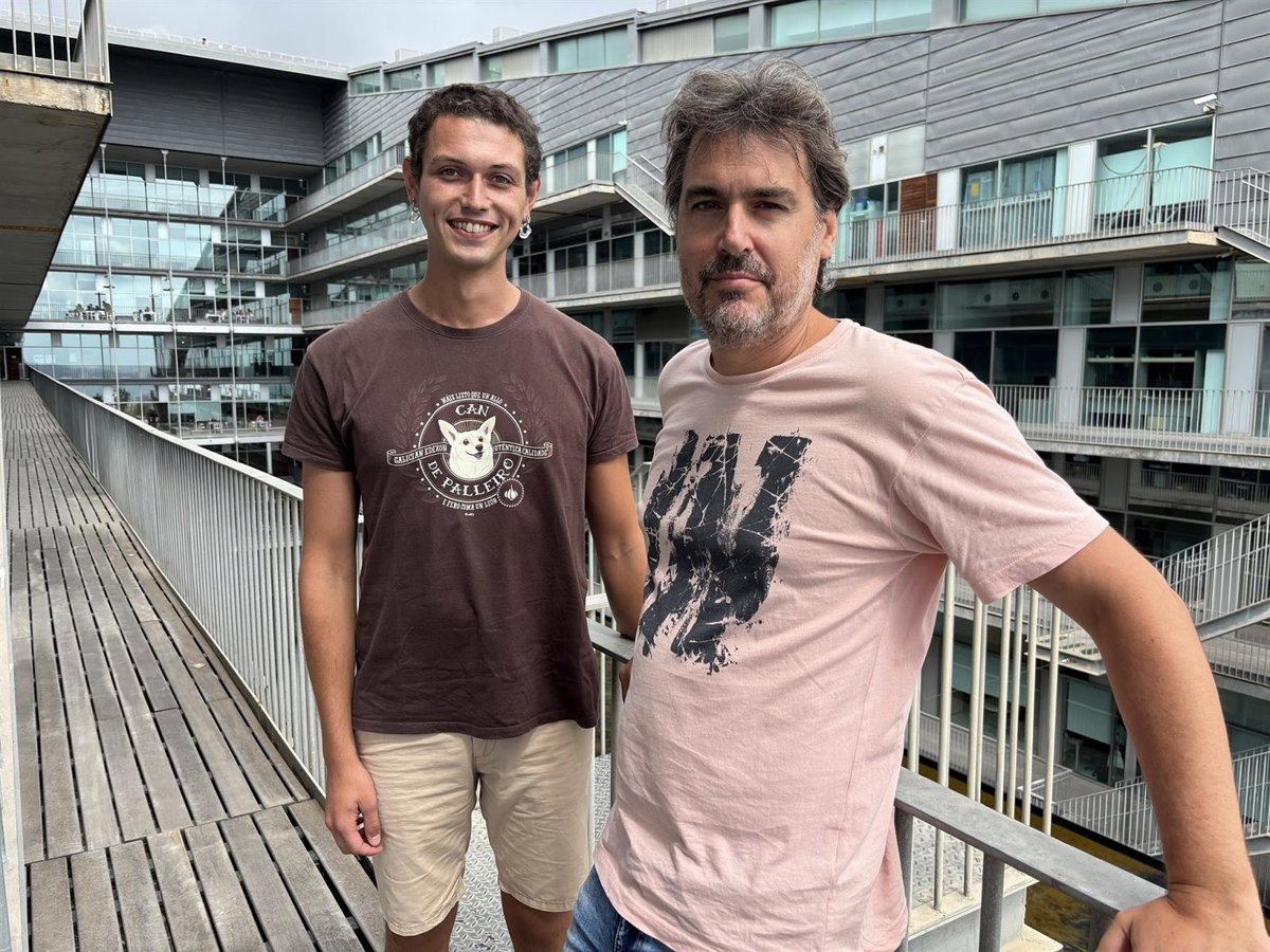 Conectan el origen de enfermedades neurológicas con las primeras etapas del desarrollo cerebral.