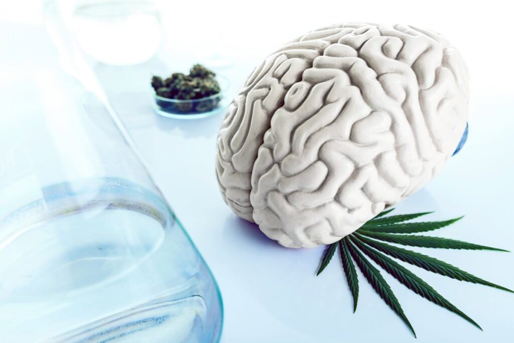 El consumo de cannabis en la adolescencia junto con infecciones prenatales eleva el riesgo de esquizofrenia.