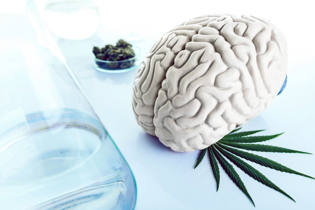 El consumo de cannabis en la adolescencia junto con infecciones prenatales eleva el riesgo de esquizofrenia.