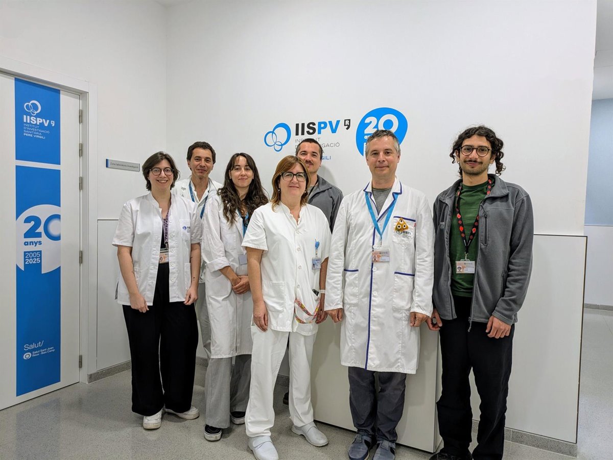 Un estudio revela que el Omega-3 durante el embarazo beneficia el desarrollo cerebral infantil