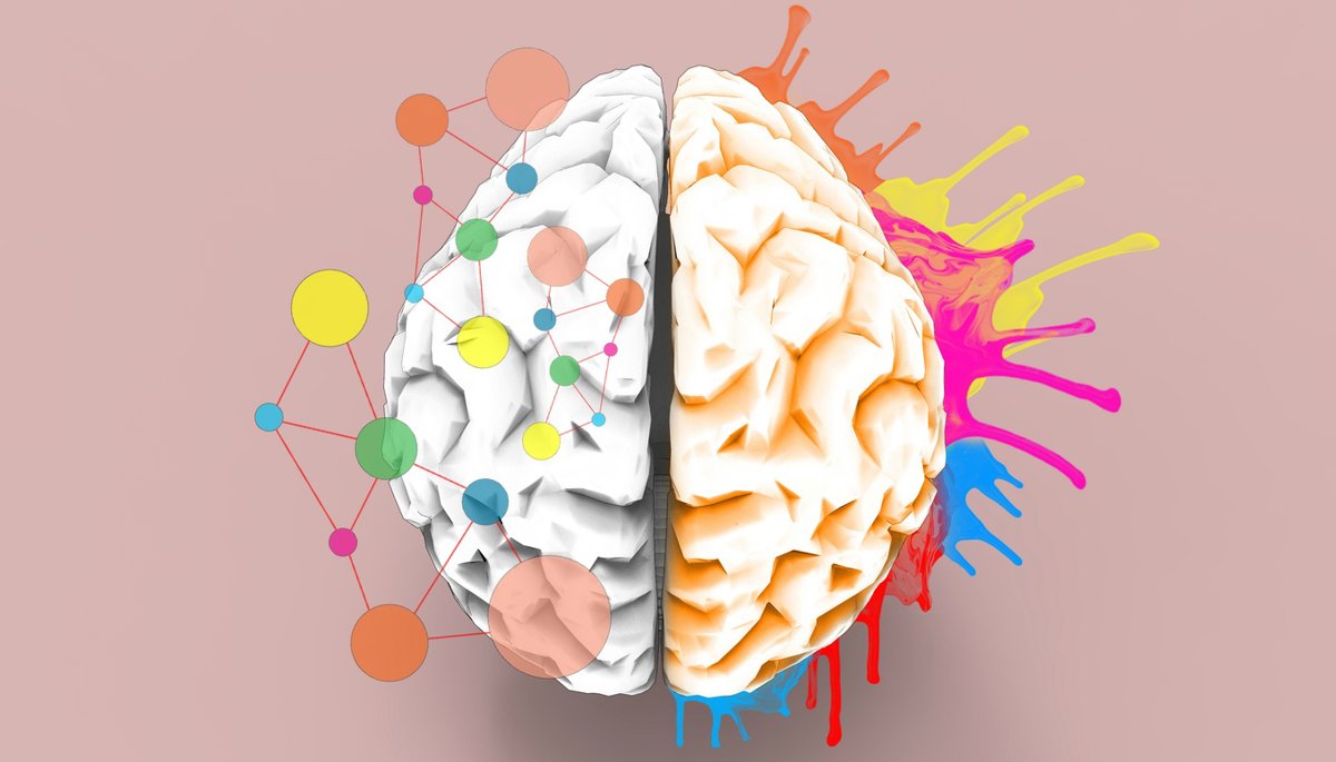 El cerebro conserva su representación corporal intacta.