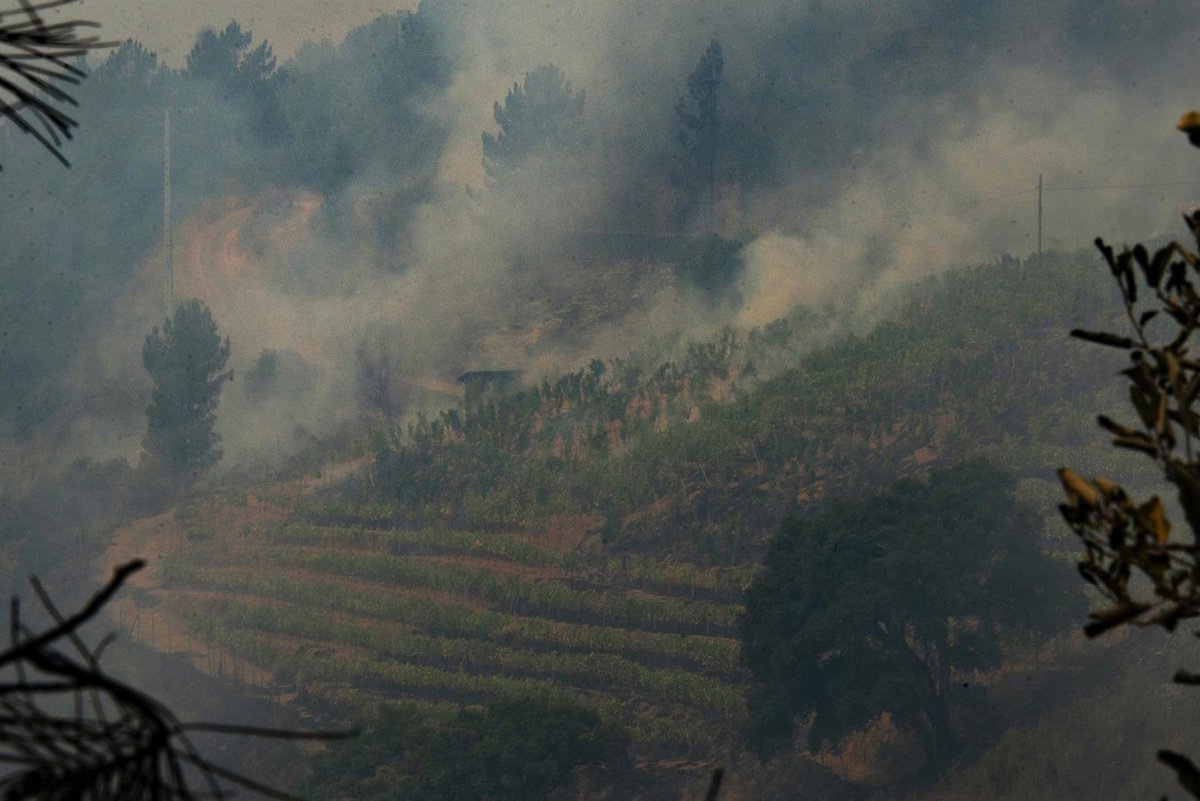 La RFEF y LaLiga expresan su apoyo a las víctimas de los incendios.