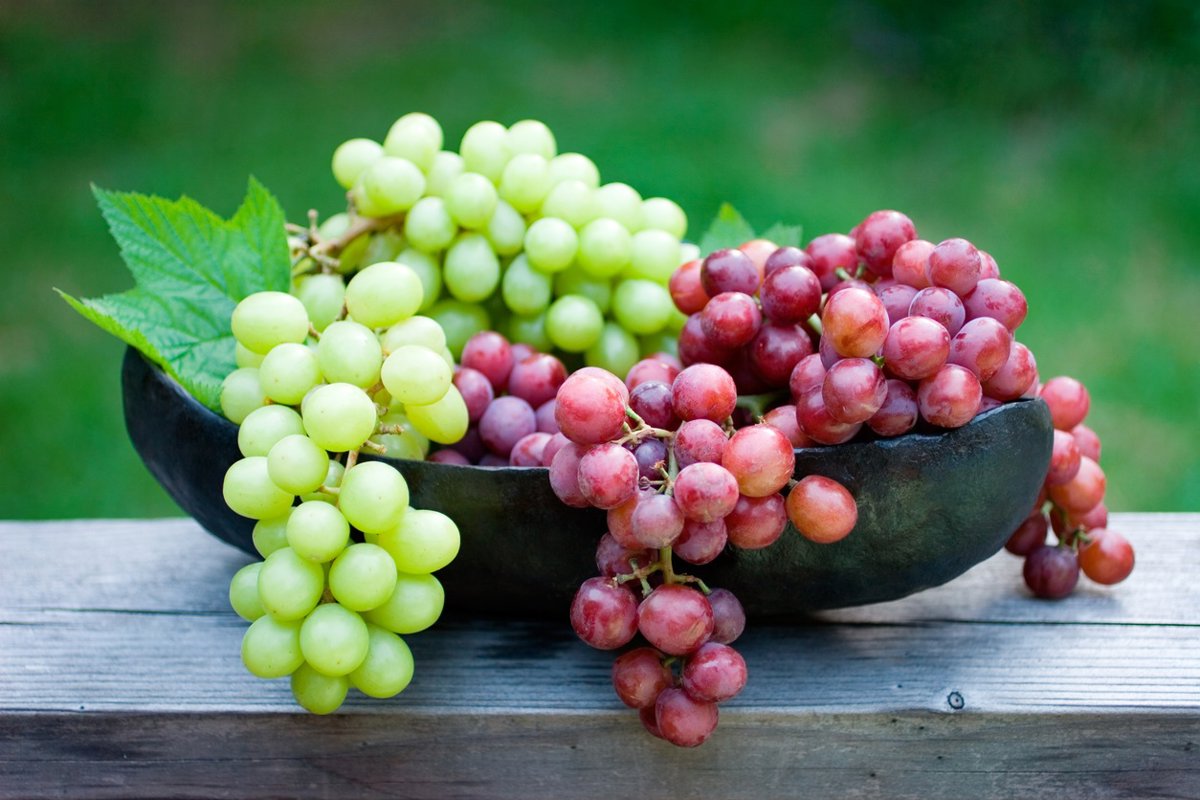 Las uvas: ¿el nuevo "superalimento"? Más de 1.600 compuestos las destacan.