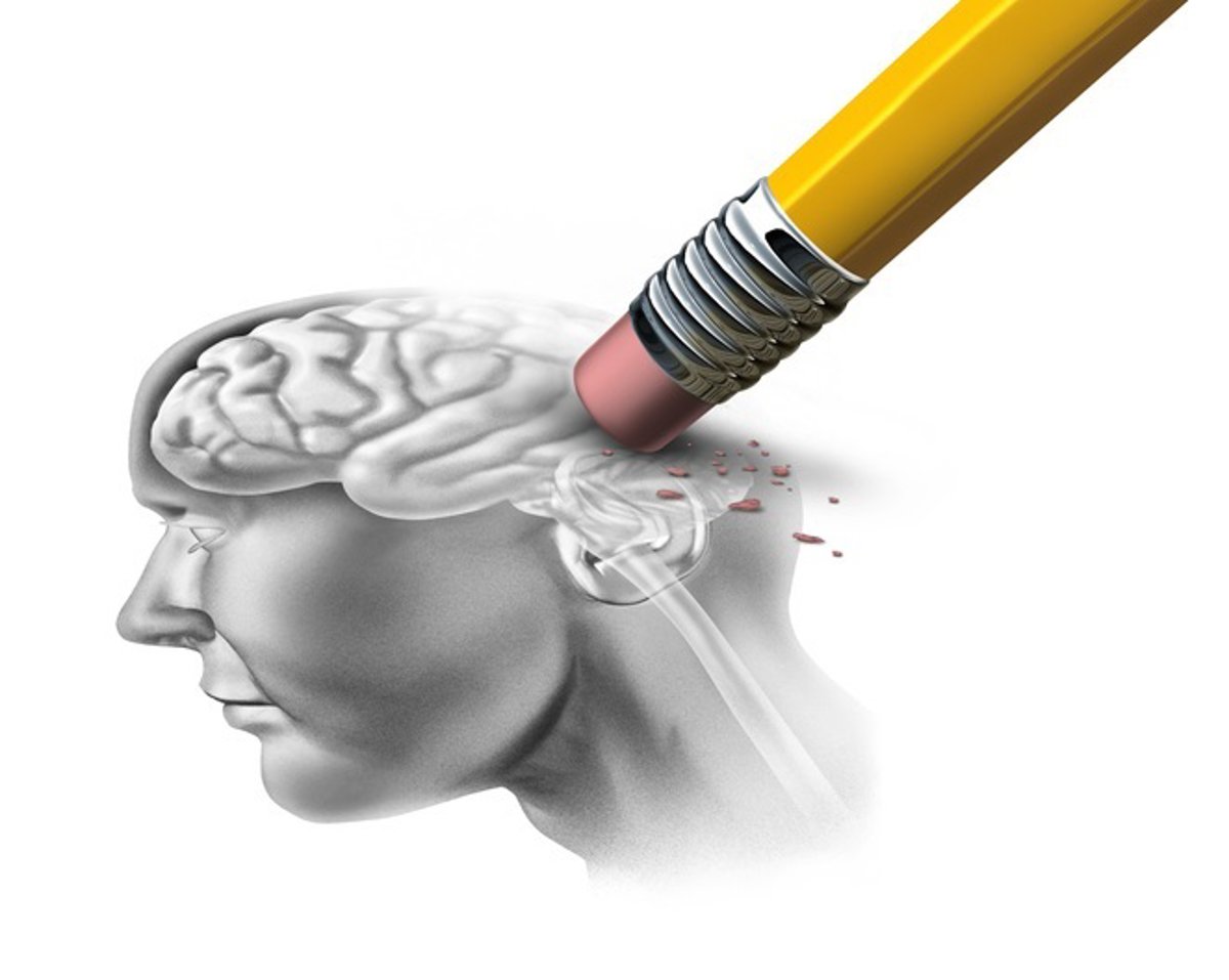 Un error en la captación neuronal podría explicar la enfermedad.