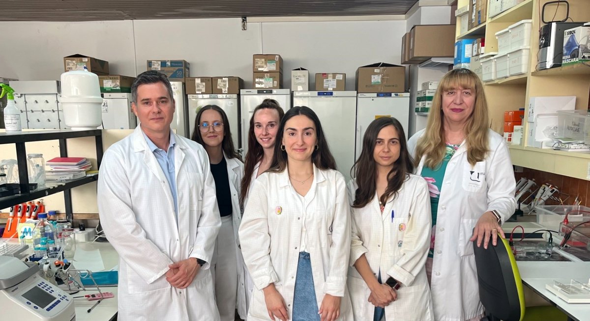Descubren que las proteínas humanas relacionadas con el Alzheimer causan daños más severos que las de los ratones.
