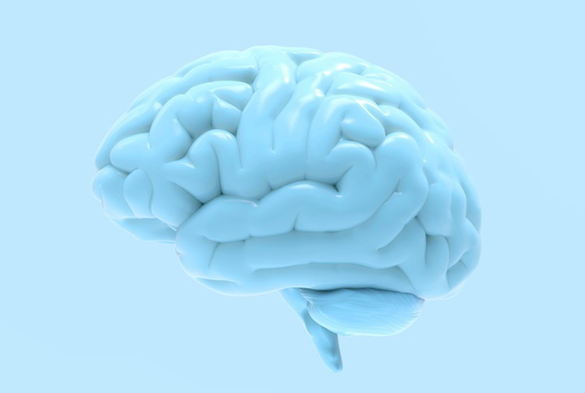 Organoides cerebrales revelan las bases neuronales de la esquizofrenia y el trastorno bipolar