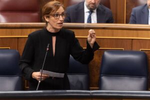 No se encuentra en ninguna guía ni protocolo