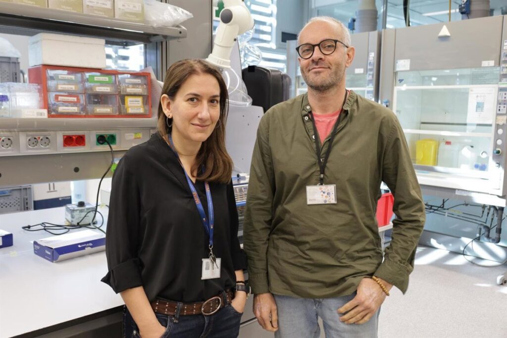 Una innovadora herramienta mide las grasas en sangre y puede prever el riesgo de ictus isquémico.