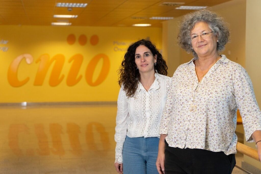 Un estudio del CNIO descubre nuevos genes que aumentan el riesgo de cáncer de páncreas