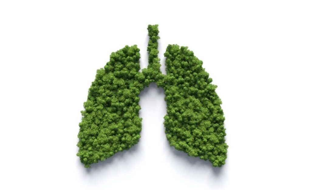 Así puedes optimizar (o perjudicar) tu capacidad pulmonar con tus hábitos de vida.