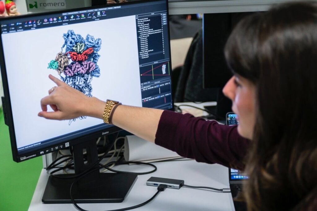 Descubren un mecanismo en las células que descompone proteínas sin gasto energético, prometedor para nuevas terapias.