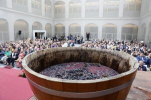 Un estudio revela los beneficios del orujo de uva para la salud intestinal