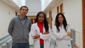 El consumo ocasional de alcohol afecta genes esenciales, revela un estudio